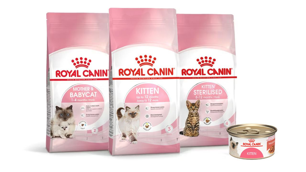 Gama del Programa de crecimiento para gatitos de Royal Canin