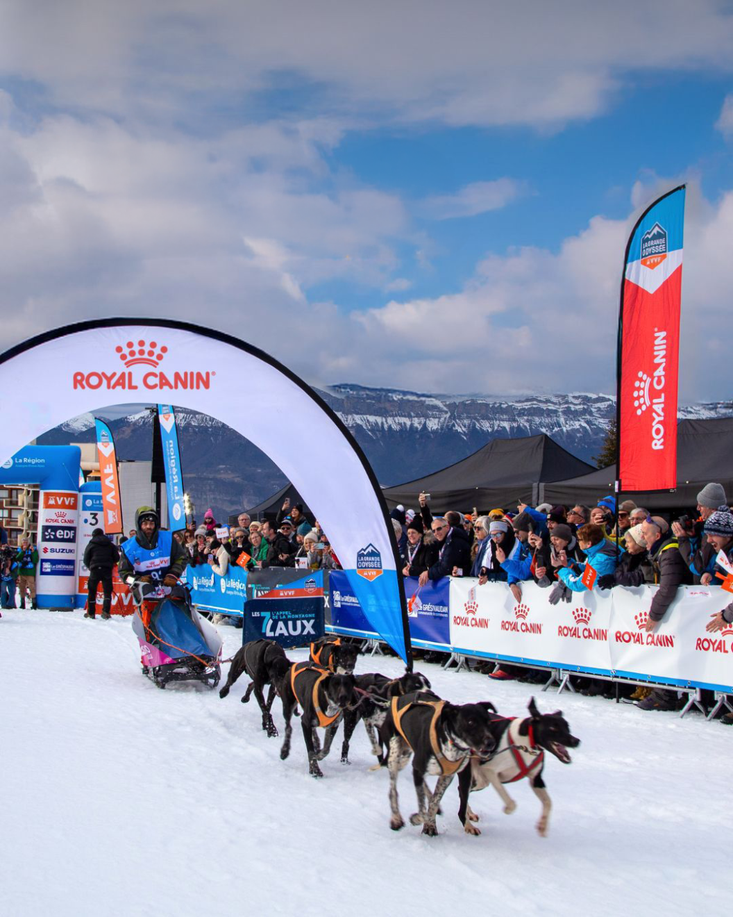 Départ de la Grande Odyssée VVF Musher et ses chiens 