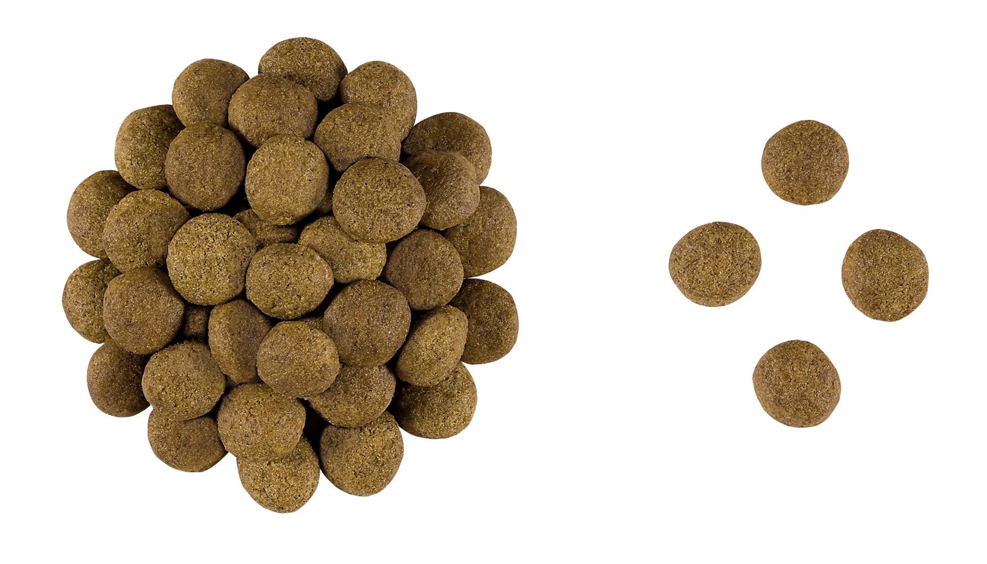Gastrointestinal Moderate Calorie | Royal Canin PT