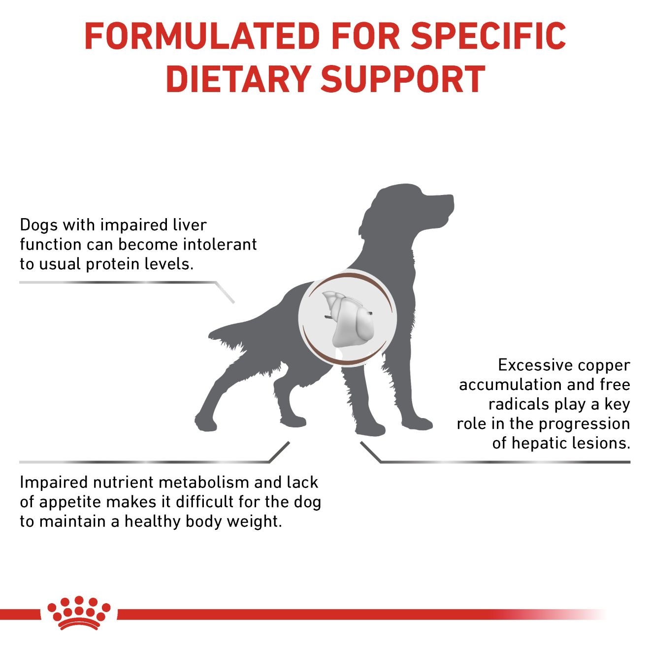 HEPATIC für Hunde