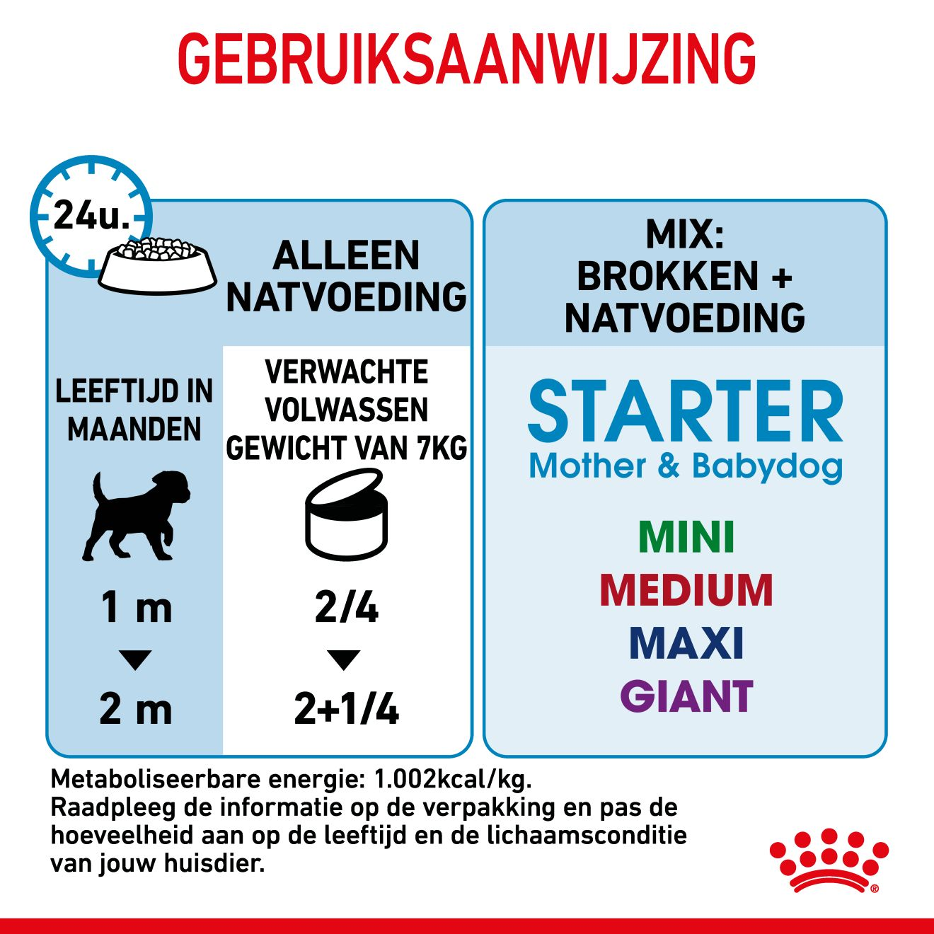 Starter Mousse Mother & Babydog