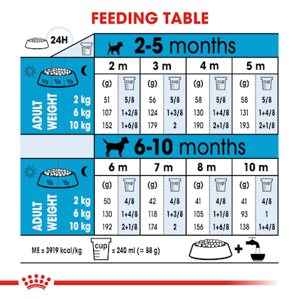 Mini Indoor Puppy Dry Royal Canin