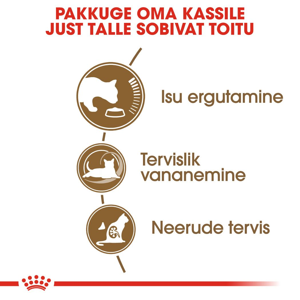 Royal Canin Ageing 12+ kuivtoit