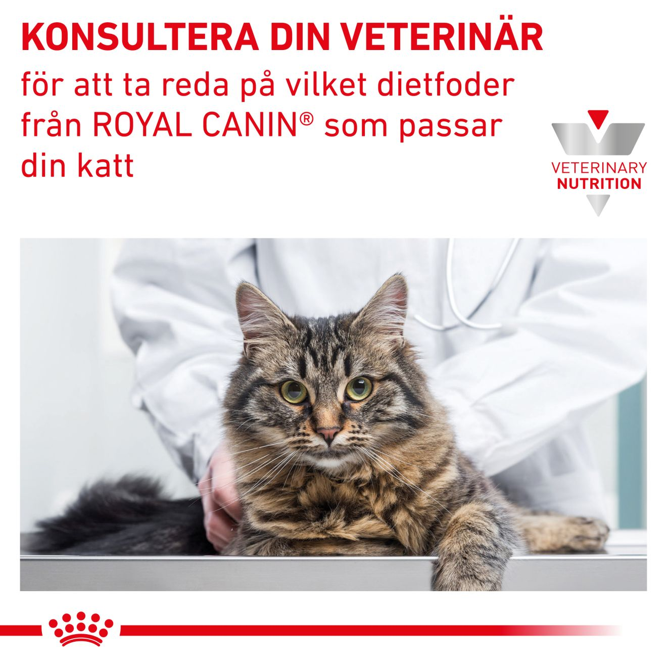 Vital Renal Chicken