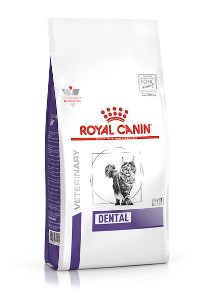 Burgerschap Welsprekend Mantel Dental dry | Royal Canin