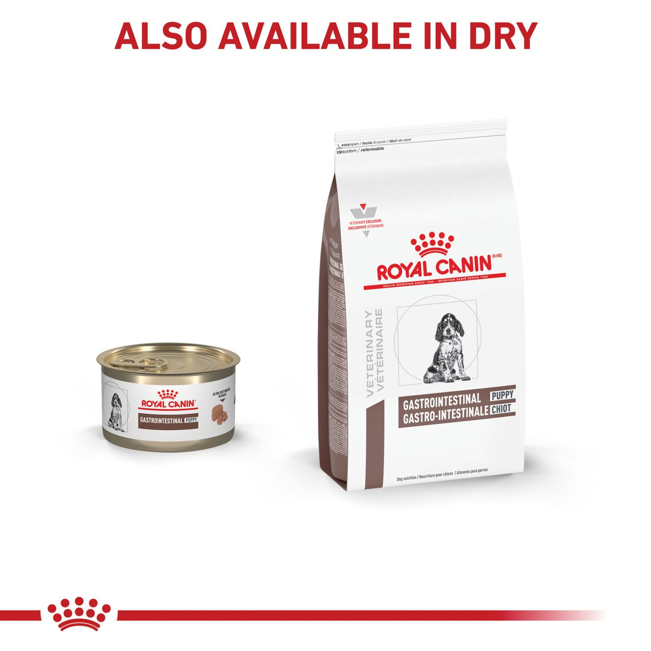 Royal canin veterinary diet gastrointestinal puppy dry 2024 dog food