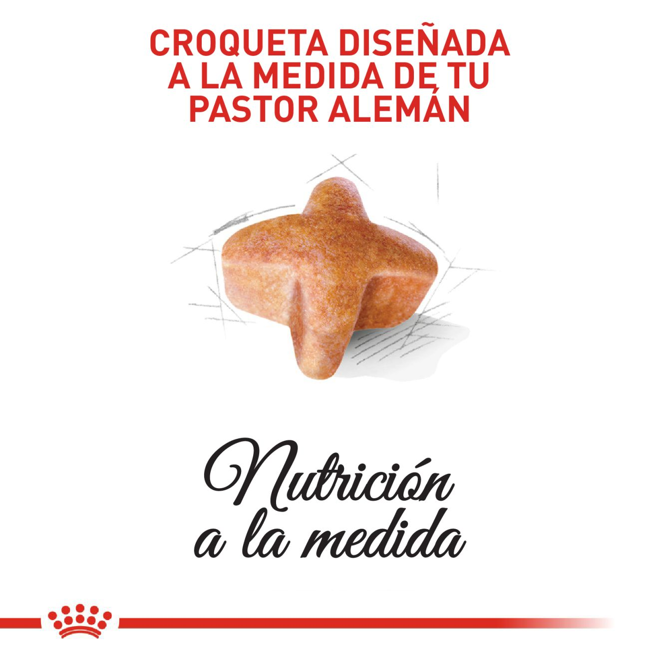 Pastor Alemán Cachorro