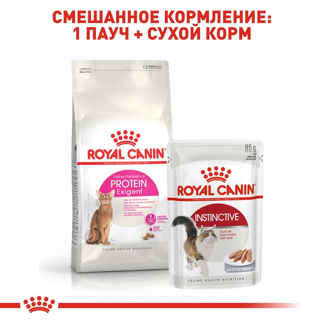 Protein Exigent