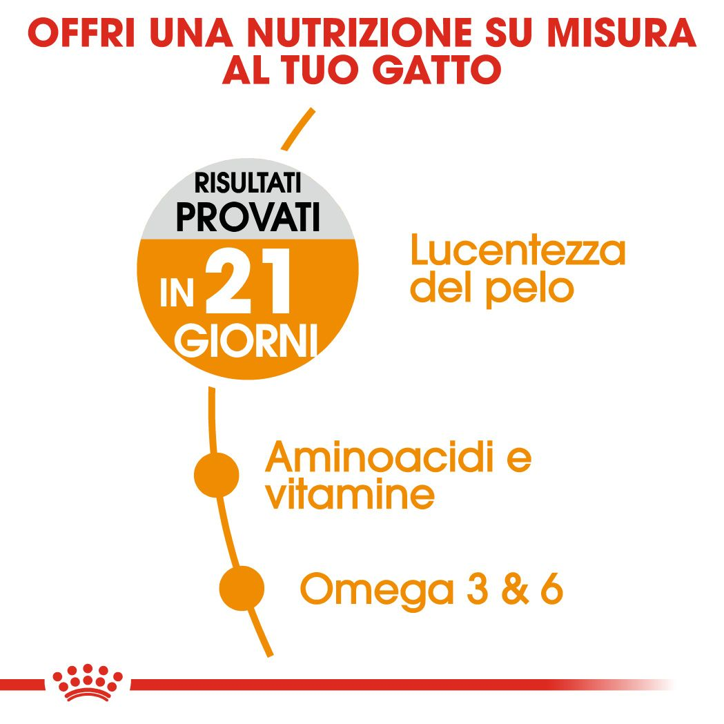 hair skin care royal canin