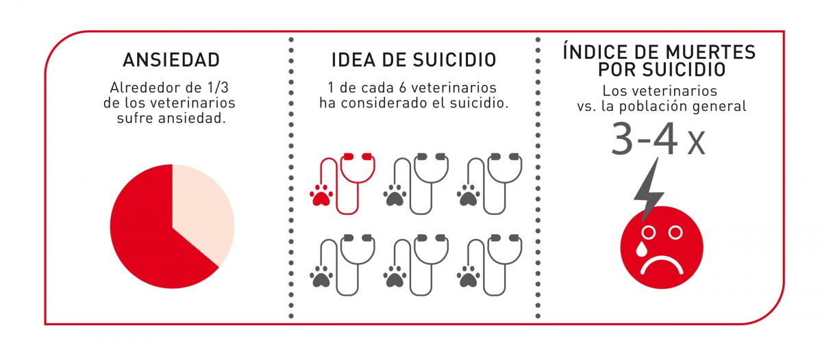 La fatiga por compasión puede contribuir a la gran presión bajo la que se sienten los veterinarios, y es un factor que influye en algunas de las estadísticas más impactantes de la profesión.