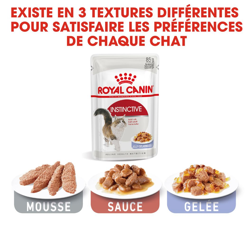 Instinctive Jelly (émincés en gelée)