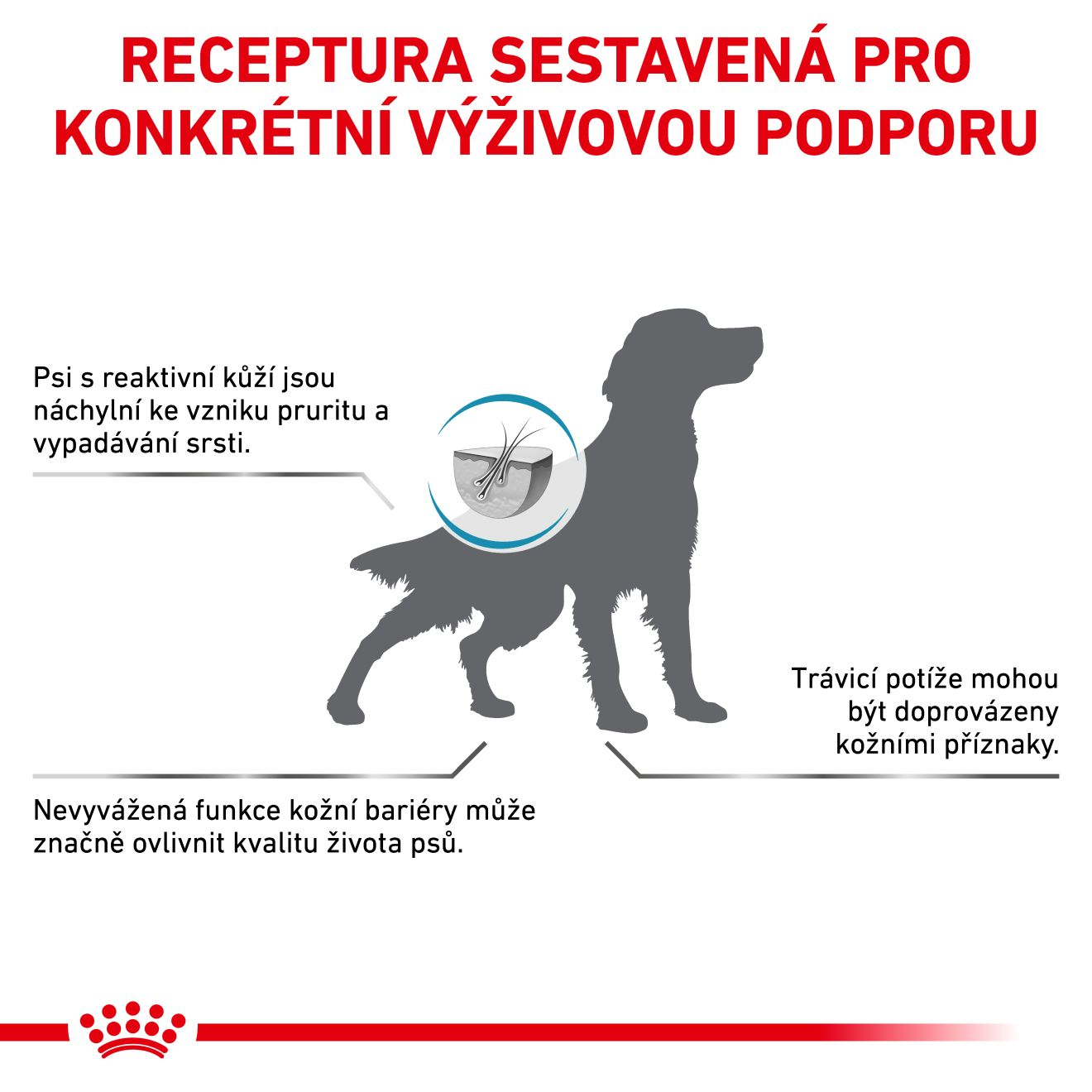 VHN Dog Skin Care