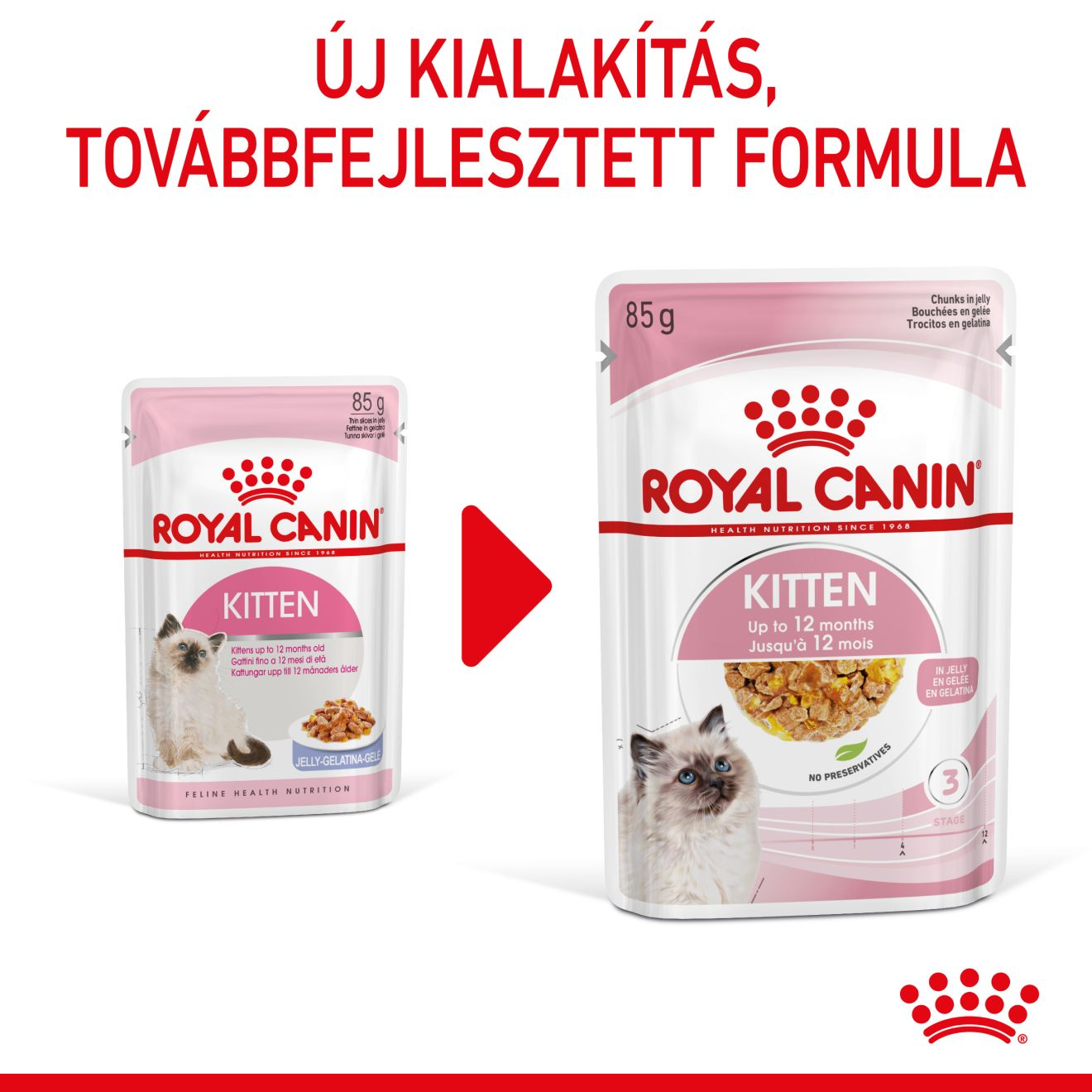Kitten Chunks in jelly