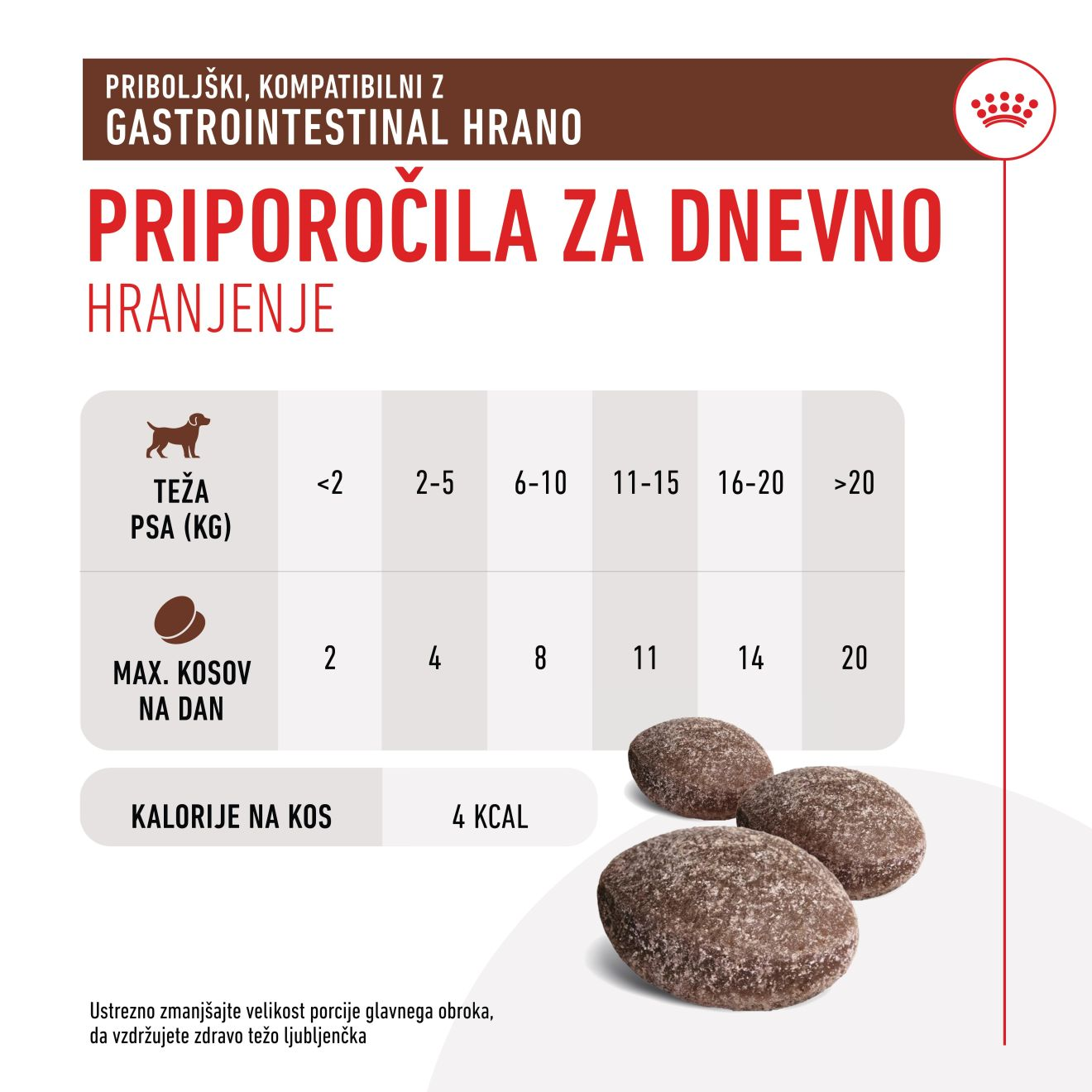 TREATS COMPATIBLE WITH GASTROINTESTINAL DIETS​