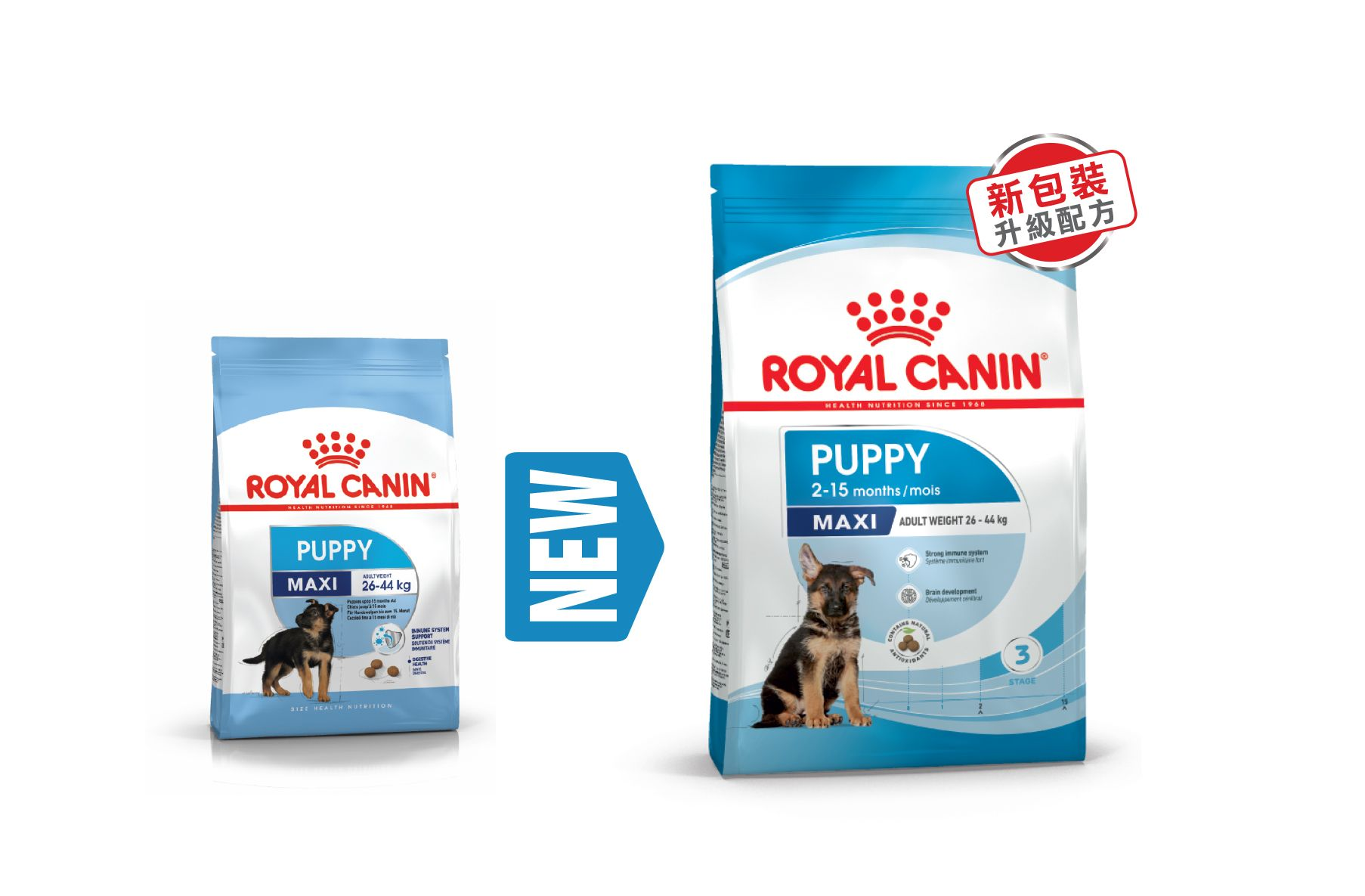 Royal canin outlet maxi puppy ingredients