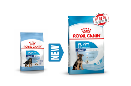 Royal canin store maxi puppy 15kg