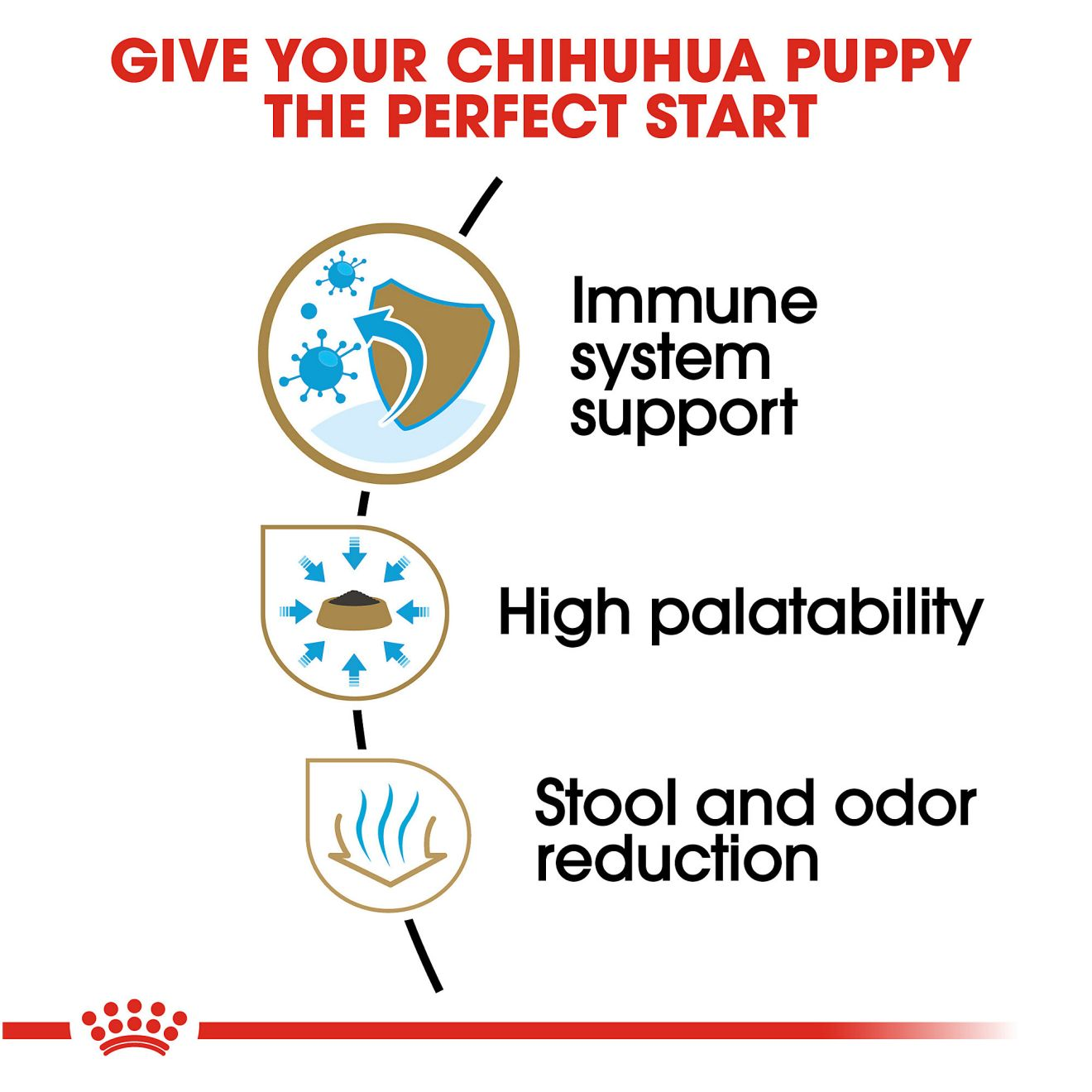 Chihuahua Puppy Dry Dog Food