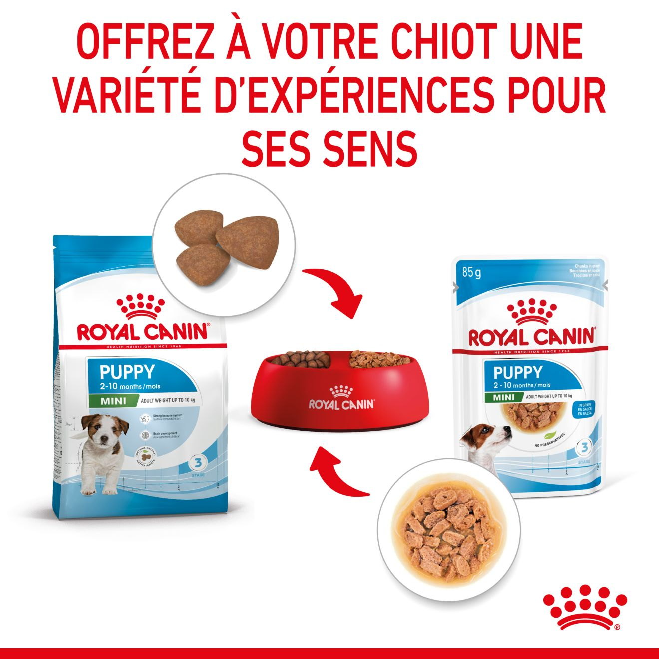 Mini Puppy Gravy (émincés en sauce)