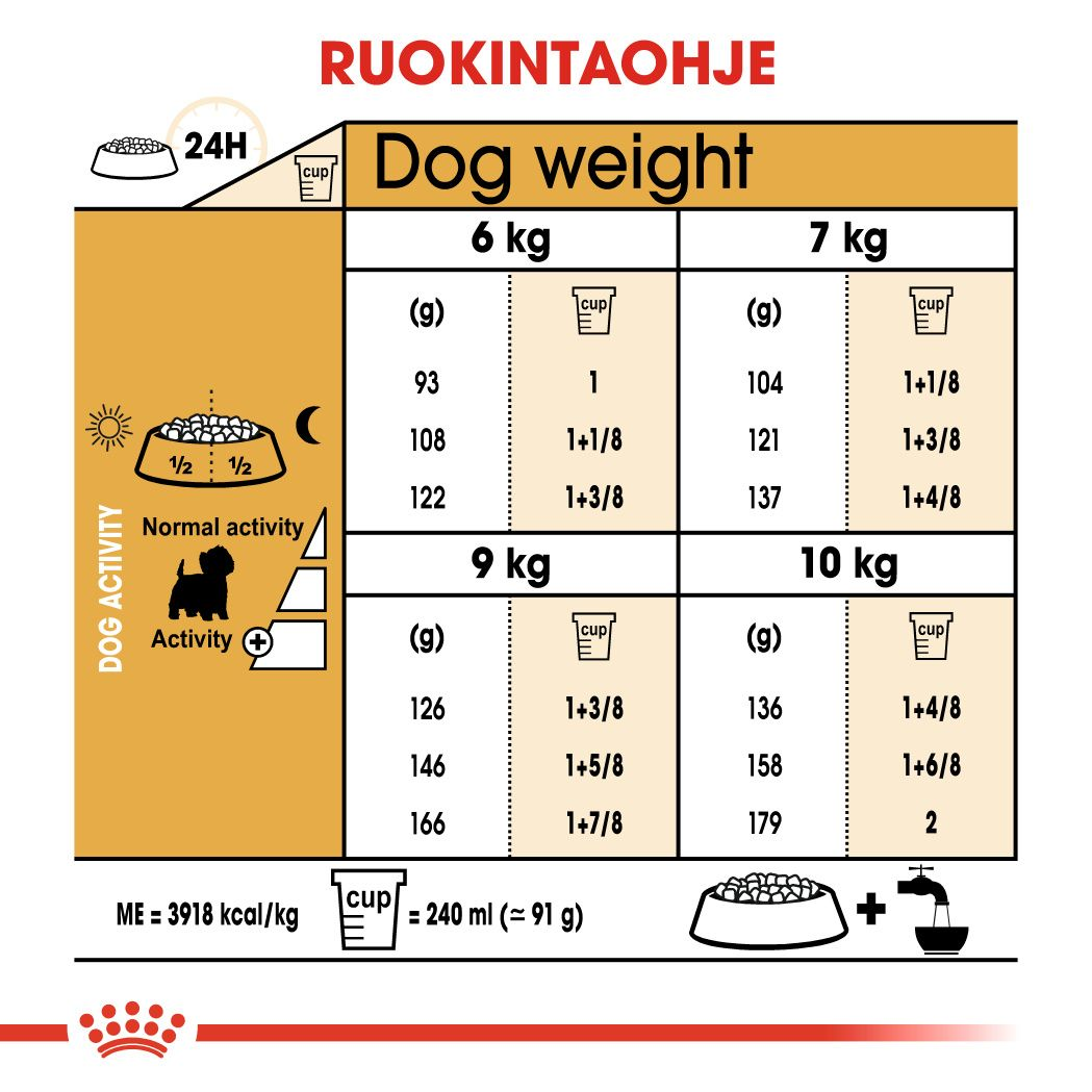 West Highland White Terrier Adult