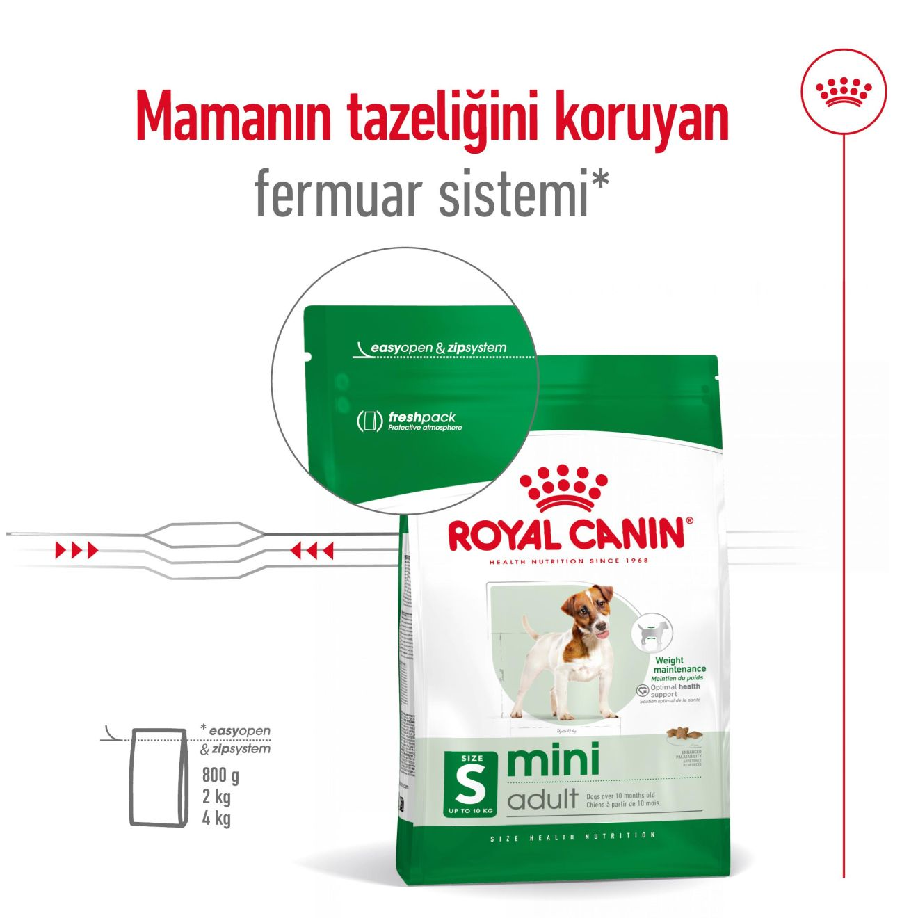 Mini Adult Yetişkin Köpek Kuru Maması