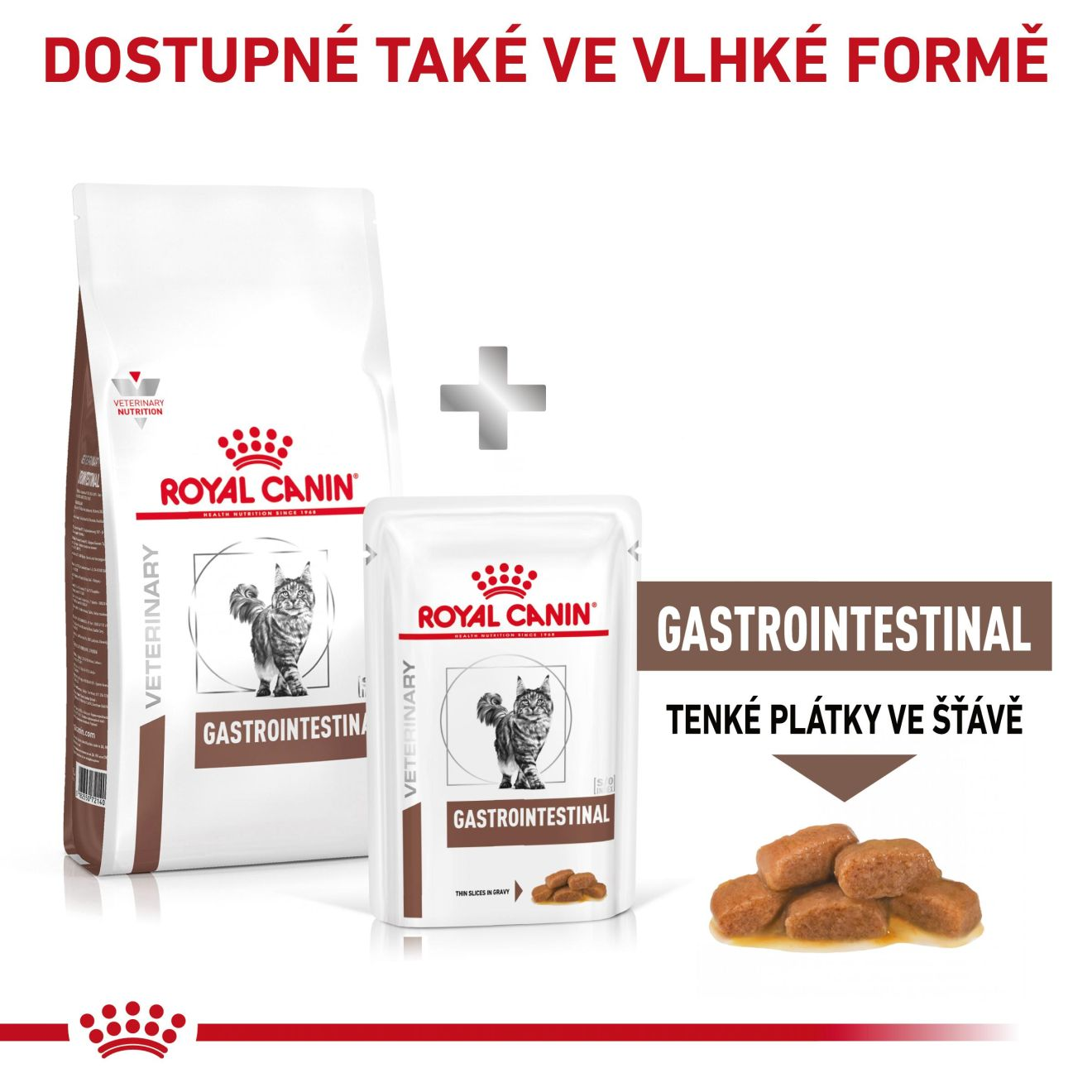 VHN Cat Gastrointestinal