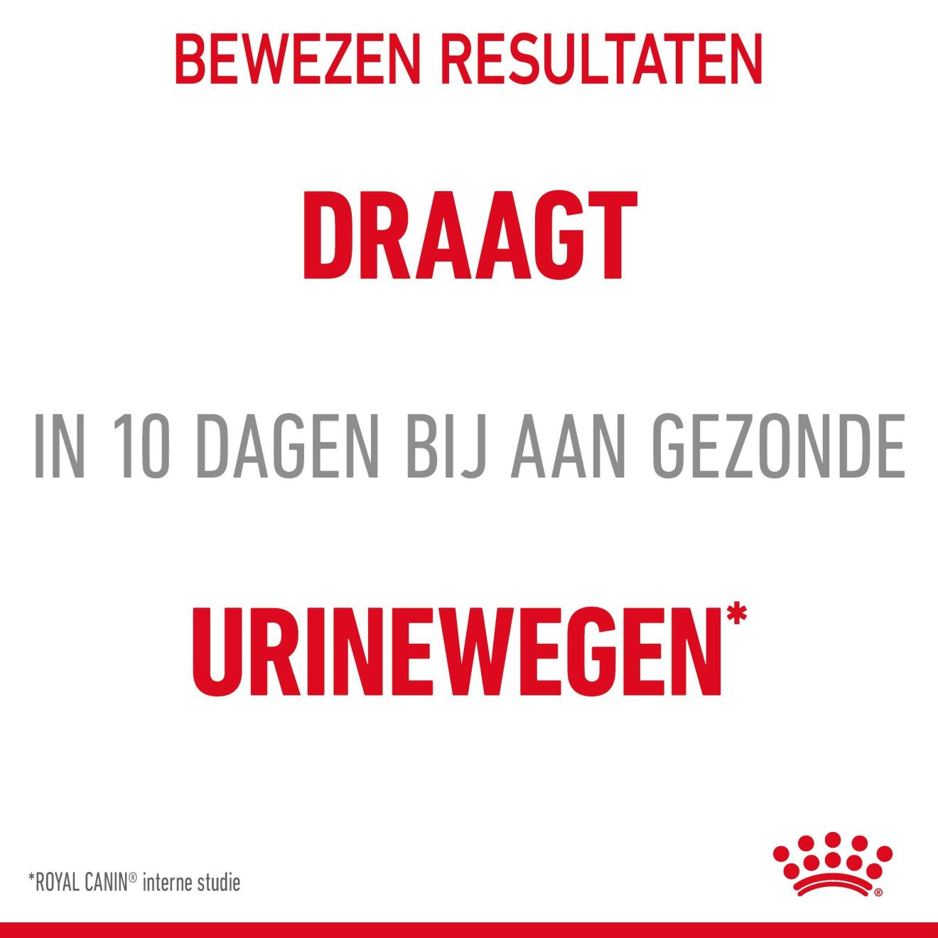 Urinary Care in Gravy (brokjes in saus) 