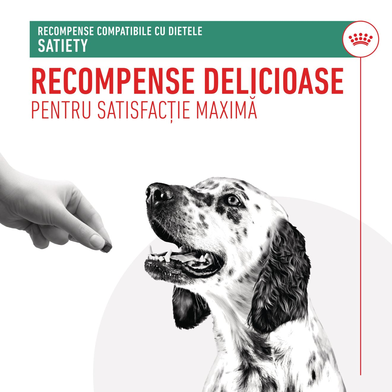 TREATS COMPATIBLE WITH SATIETY DIETS