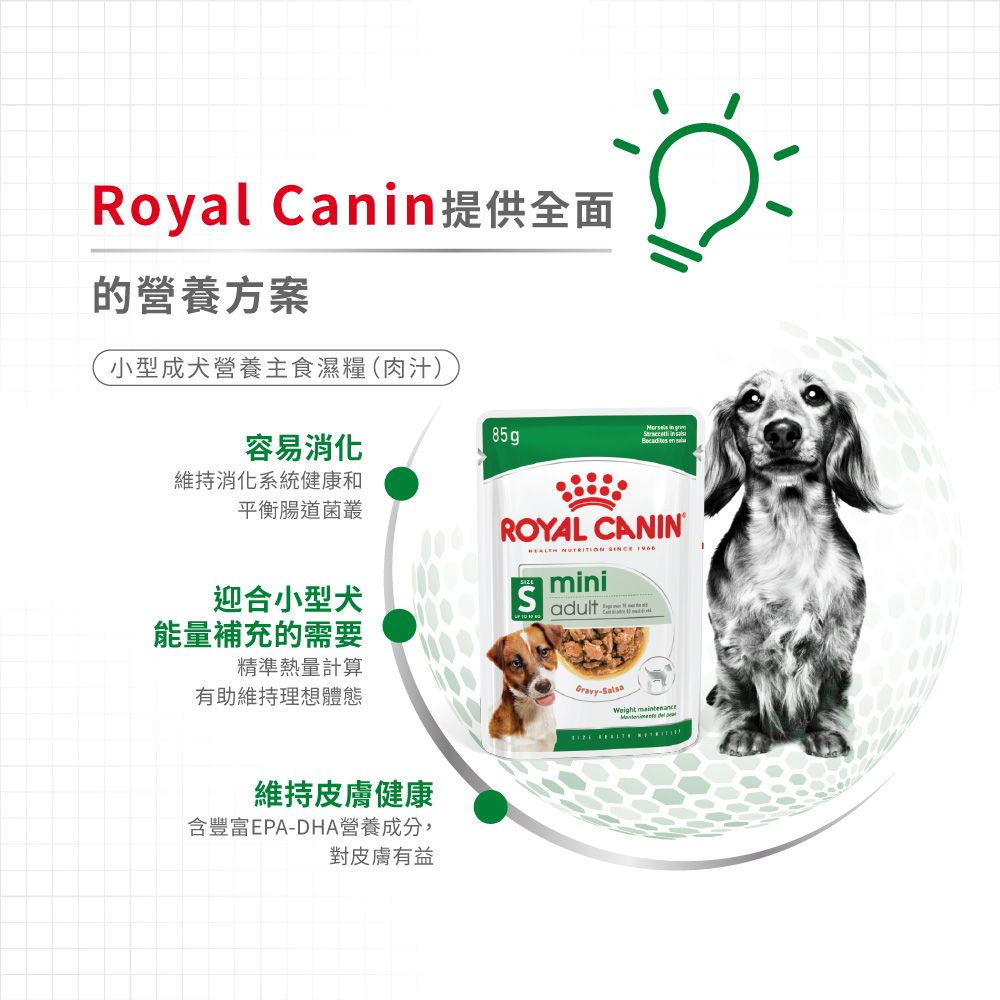 SHN 小型成犬營養主食濕糧(肉汁)