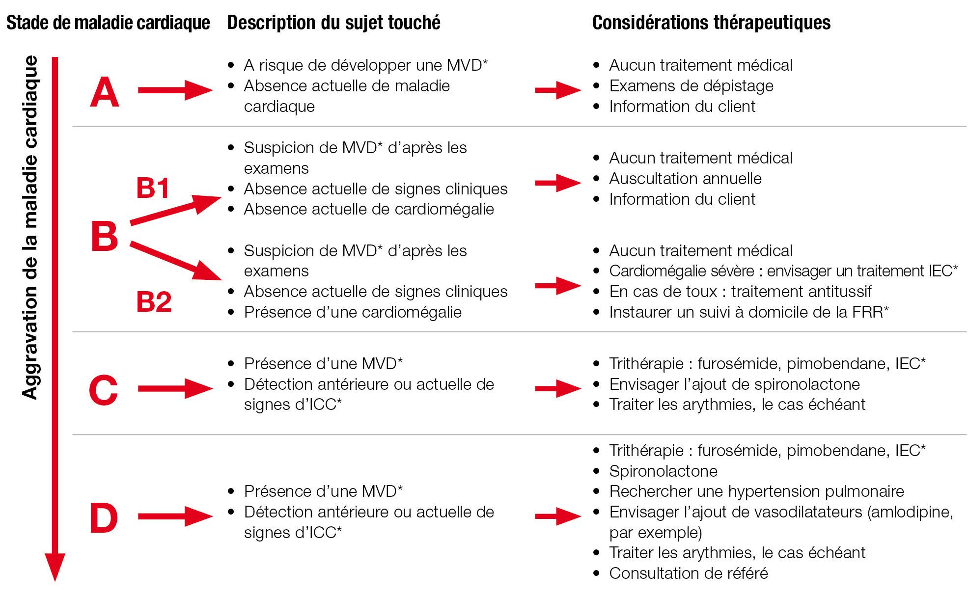 Système de classification de la maladie et de l’insuffisance cardiaques établi par l’ACVIM, appliqué à la MVD