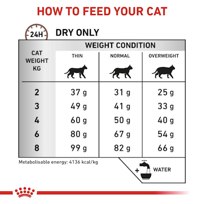 VHN – GI HEPATIC – CAT – DRY - B1 – MV6