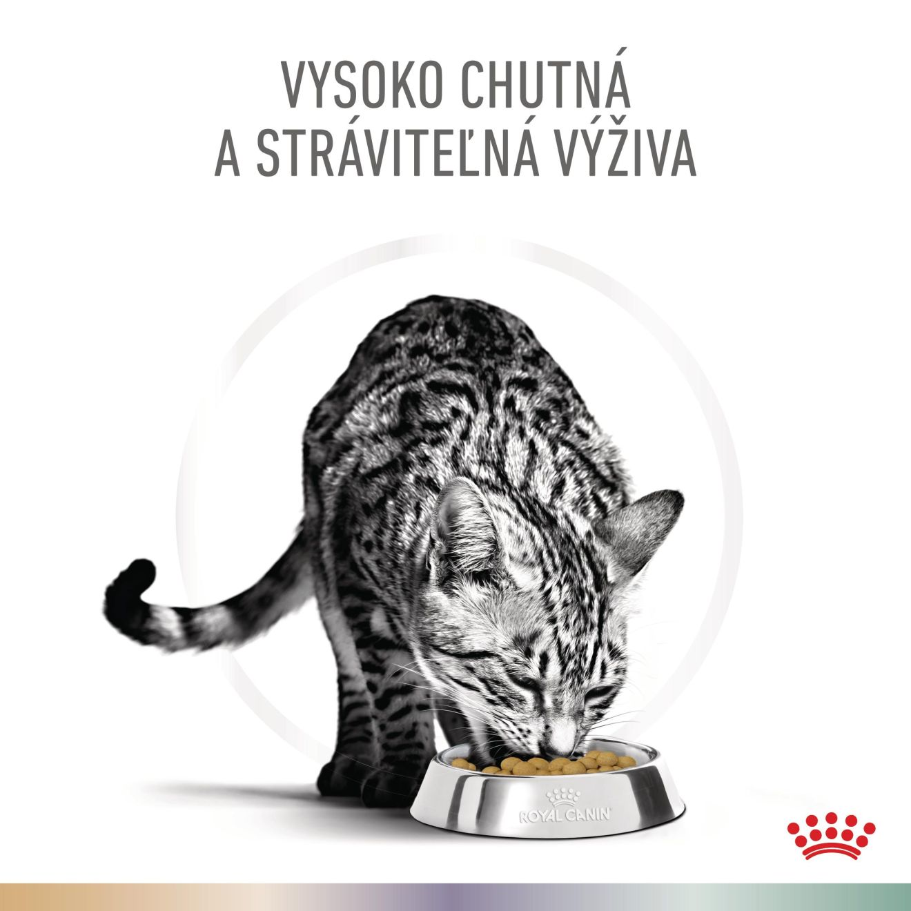 VHN Cat CA Urinary S/O Bladder Comfort - Satiety