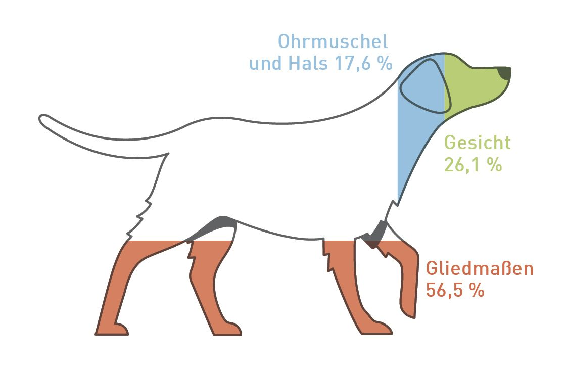 Verteilung der Körperläsionen nach Provokationsdiät