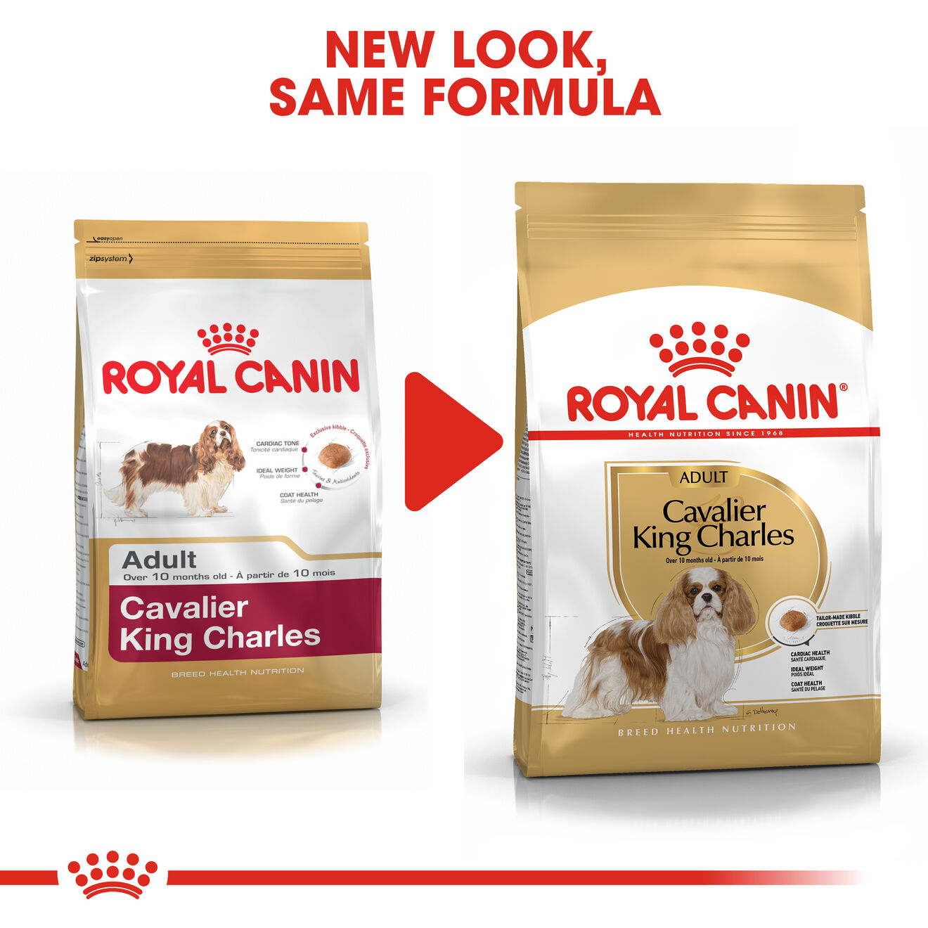 Cavalier King Charles Adult Dog Food Royal Canin Shop Royal