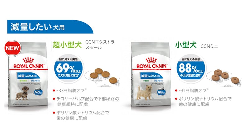 401-japan-local-ca-ccn-renewal-xs-mini-light-weght-care