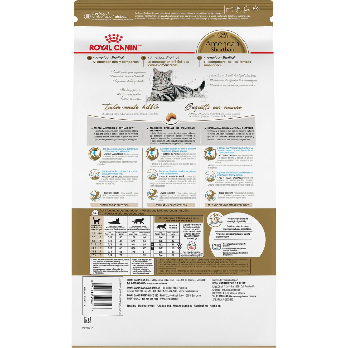 American Shorthair Adult Dry Cat Food 