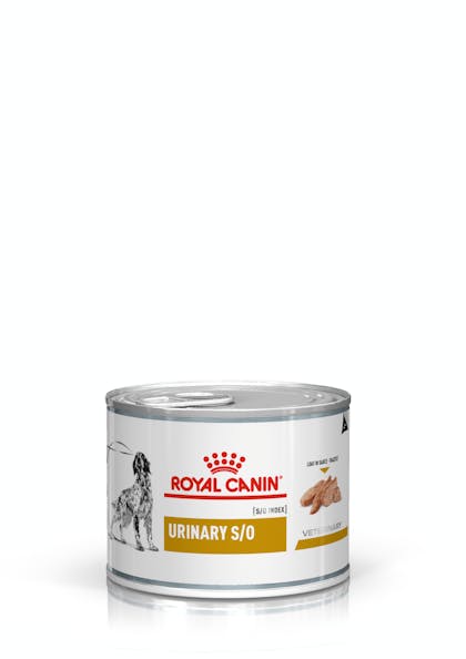 Royal canin urinary so canned store cat food