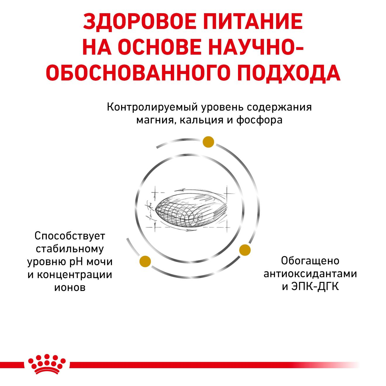 Urinary S/O | Royal Canin UA