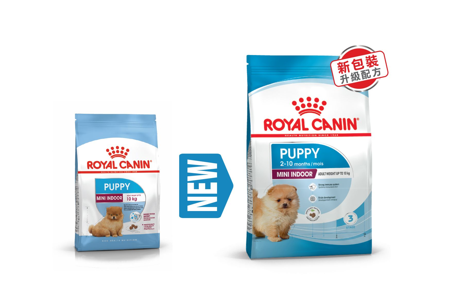 Royal canin small sales indoor