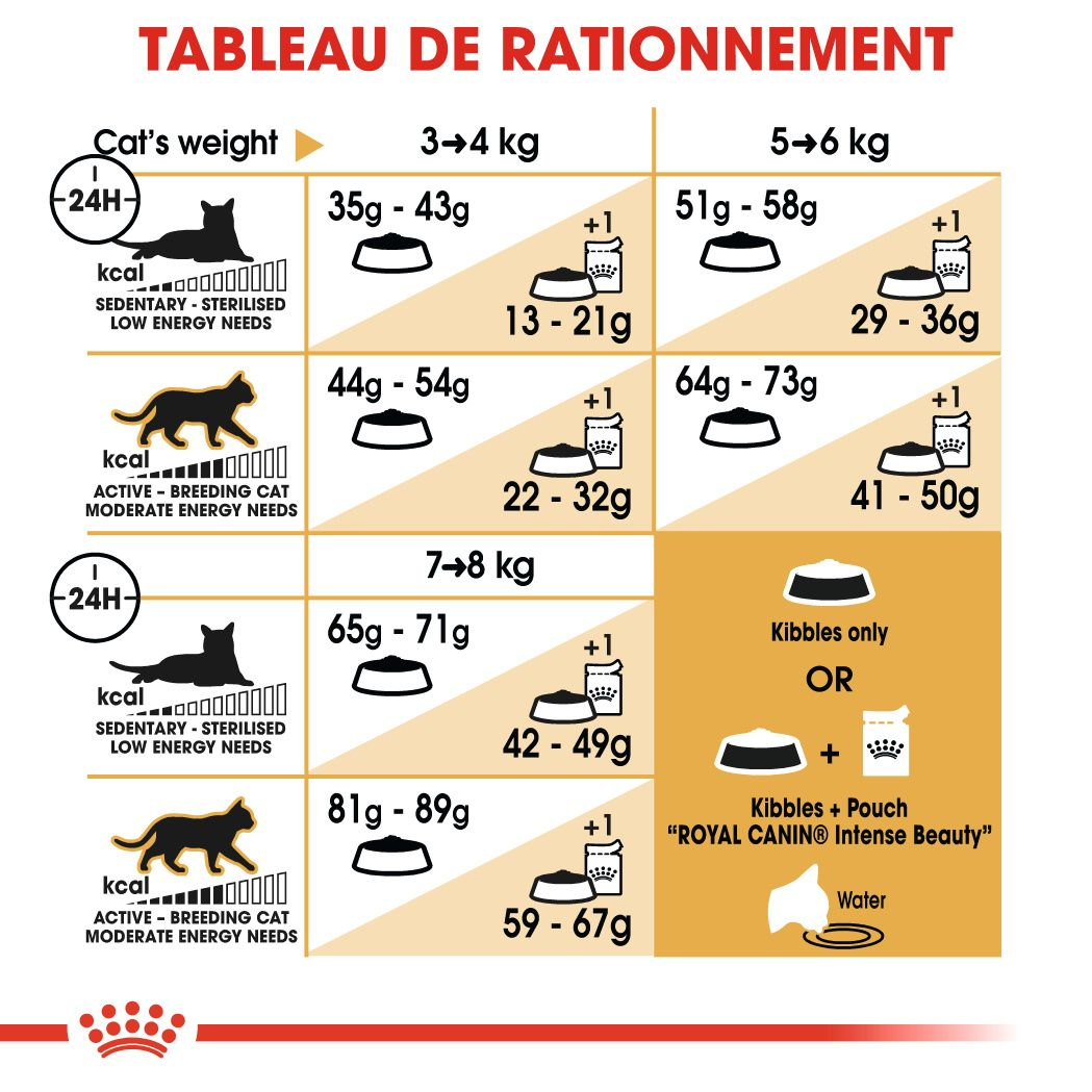 Norvégien Adulte