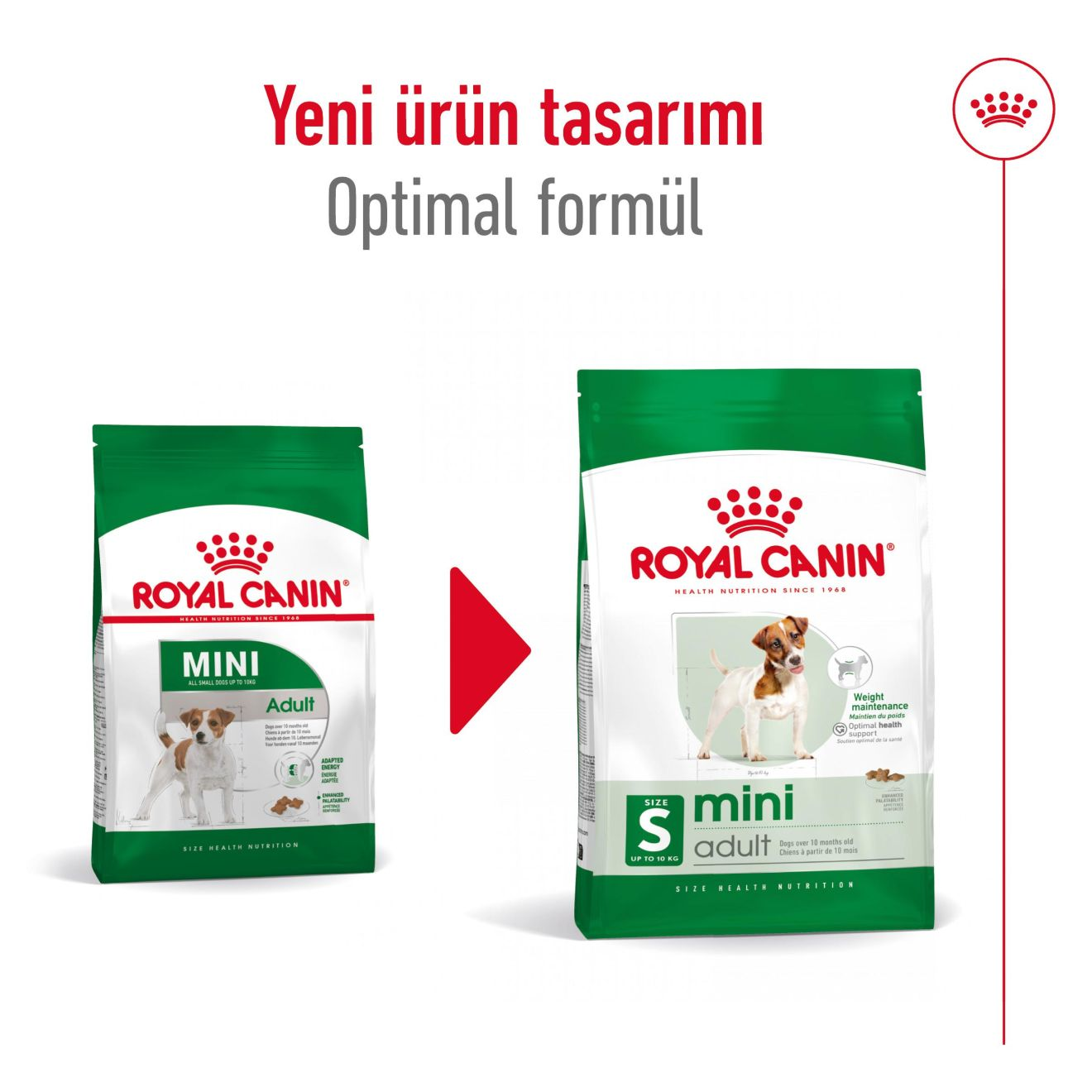 Mini Adult Yetişkin Köpek Kuru Maması