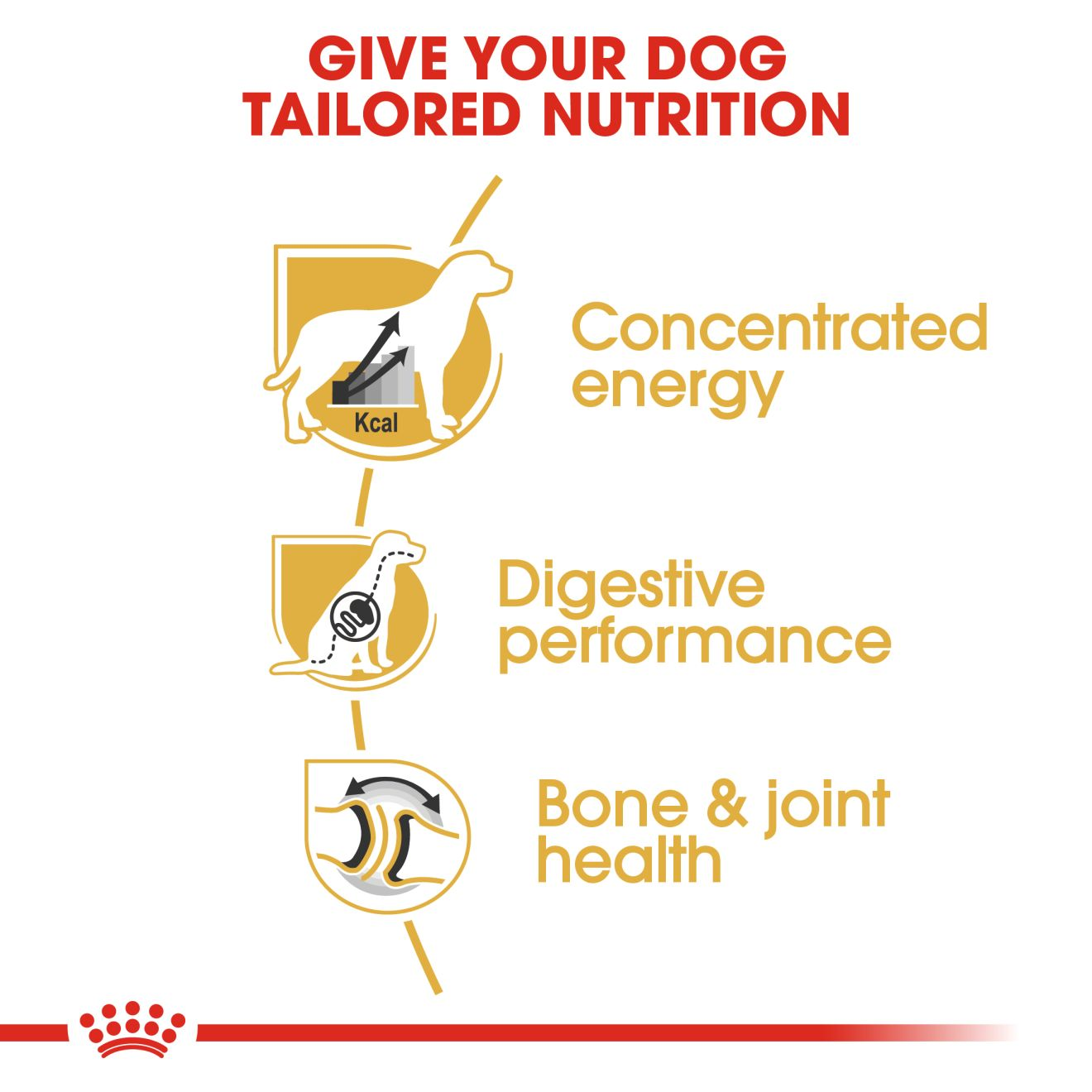 Royal canin great outlet dane food