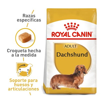 1 DACHSHUND COLOMBIA
