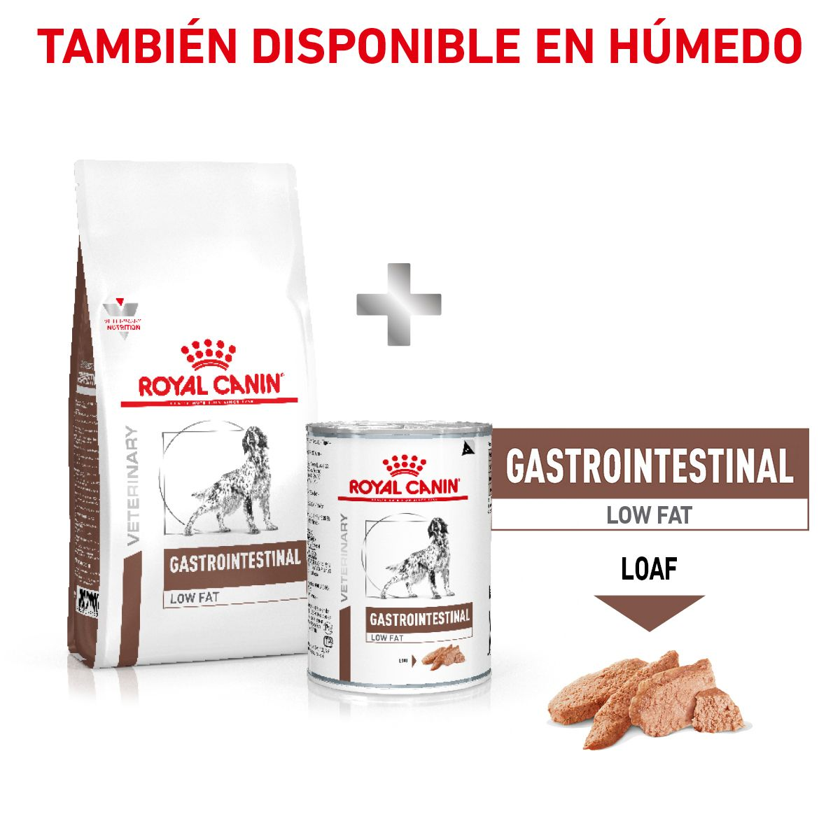 Gastro-Intestinal Low Fat