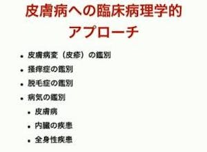 350-japan-local-ca-vet-sensitive-skin