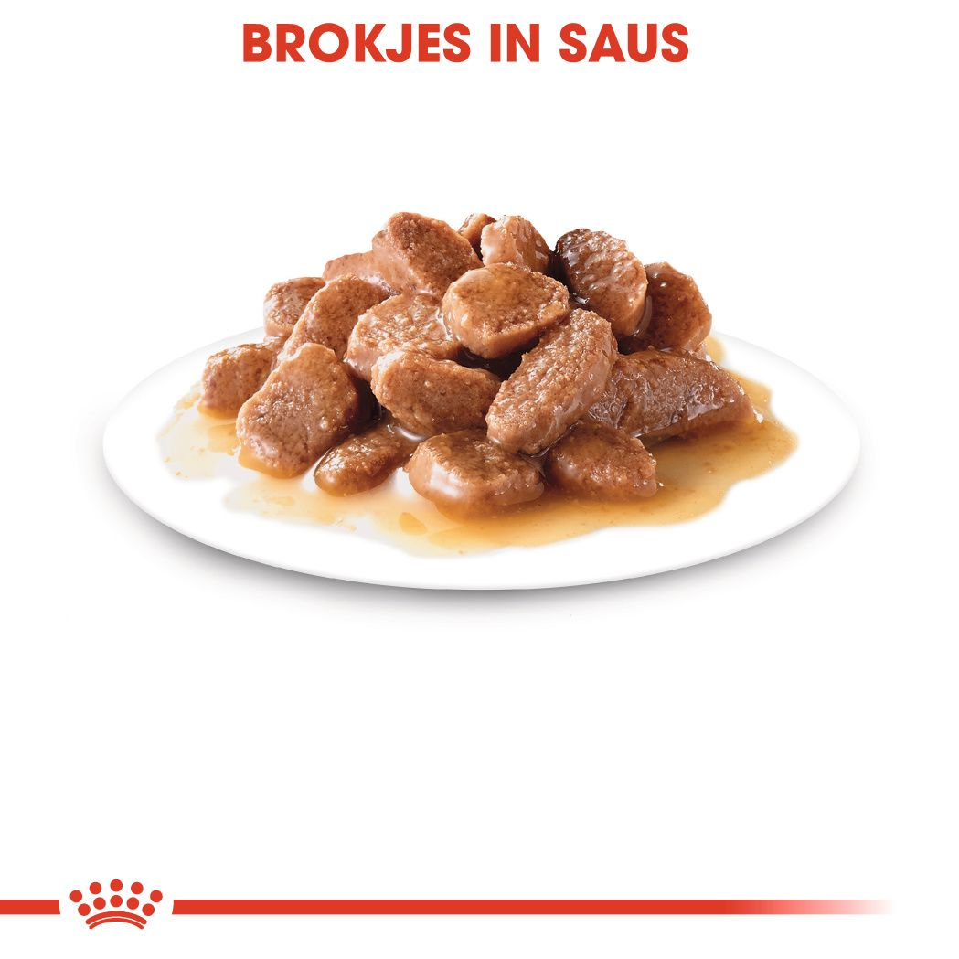 Instinctive in Gravy (brokjes in saus)