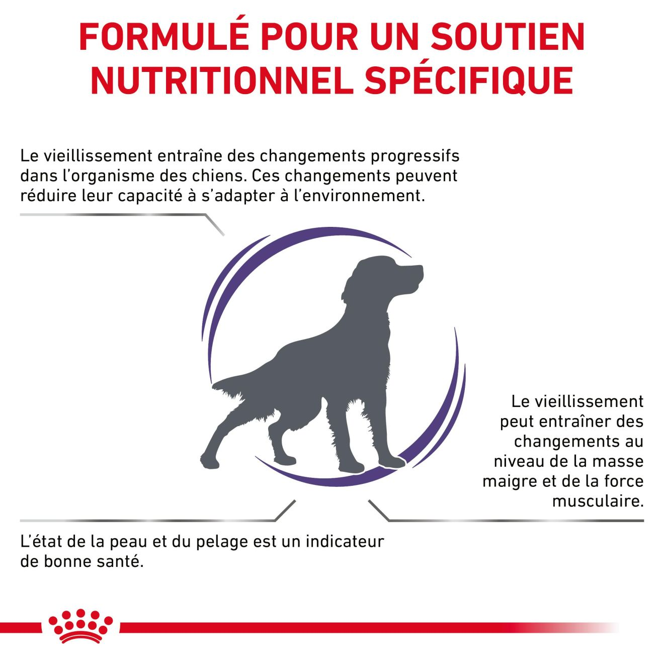 Mature Consult Medium Dogs