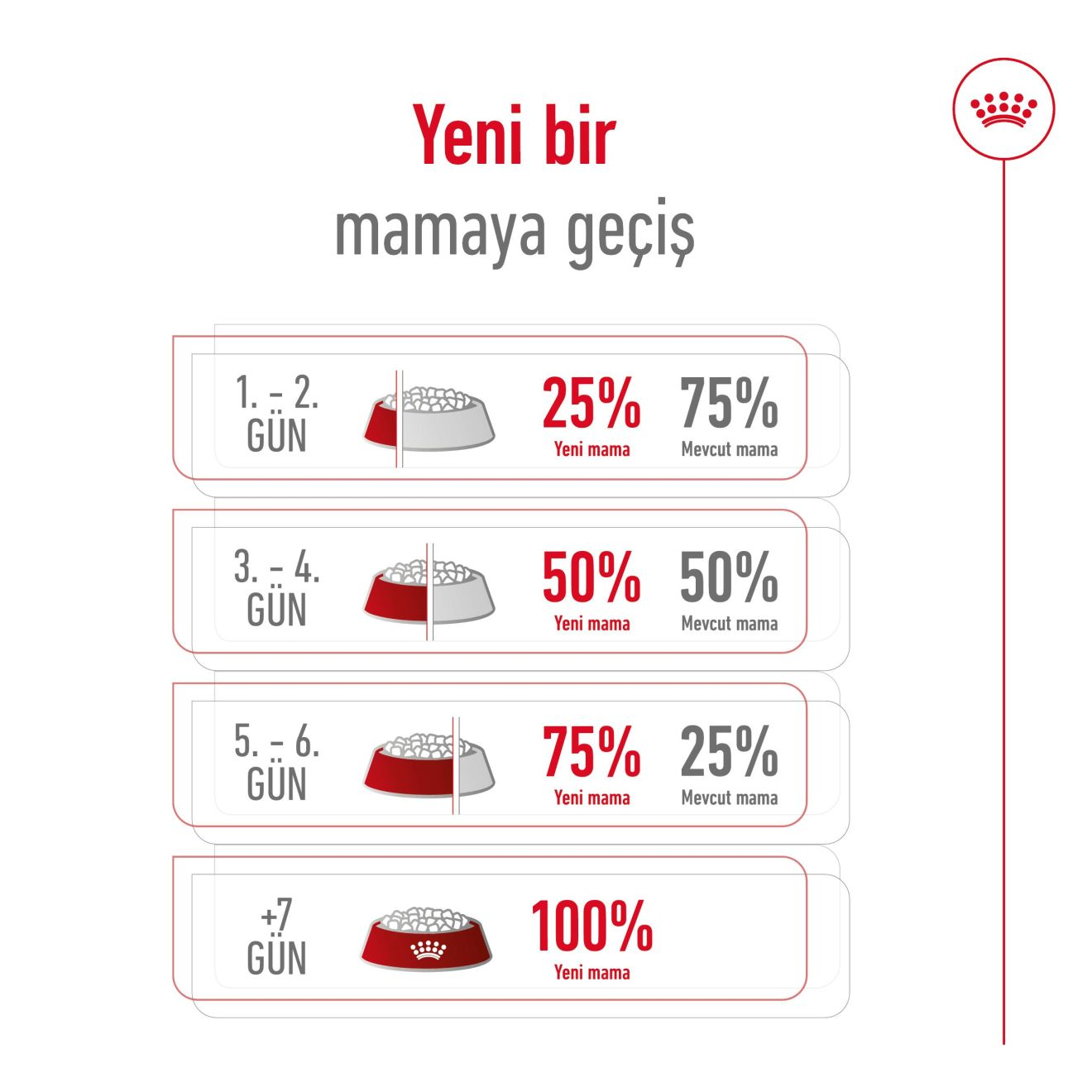 Mini Adult Yetişkin Köpek Kuru Maması