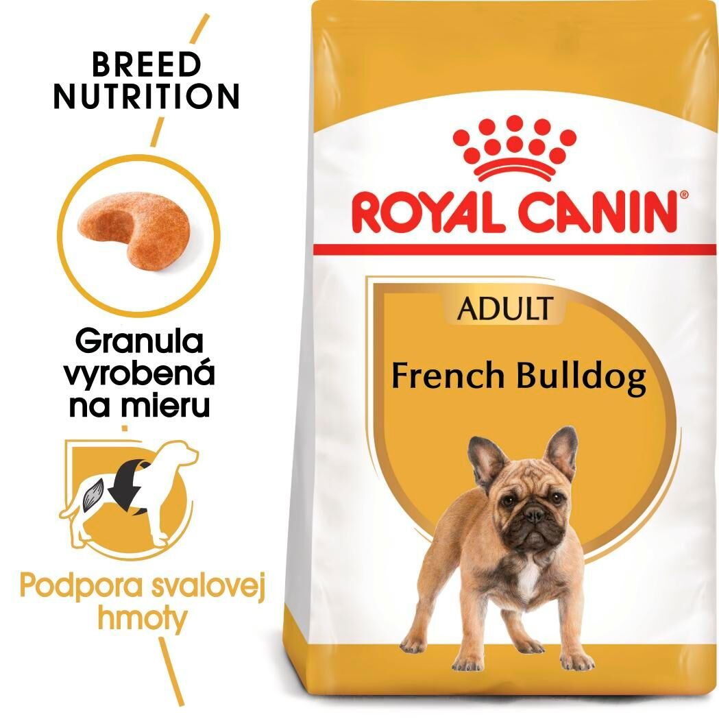 FRENCH BULLDOG Adult
