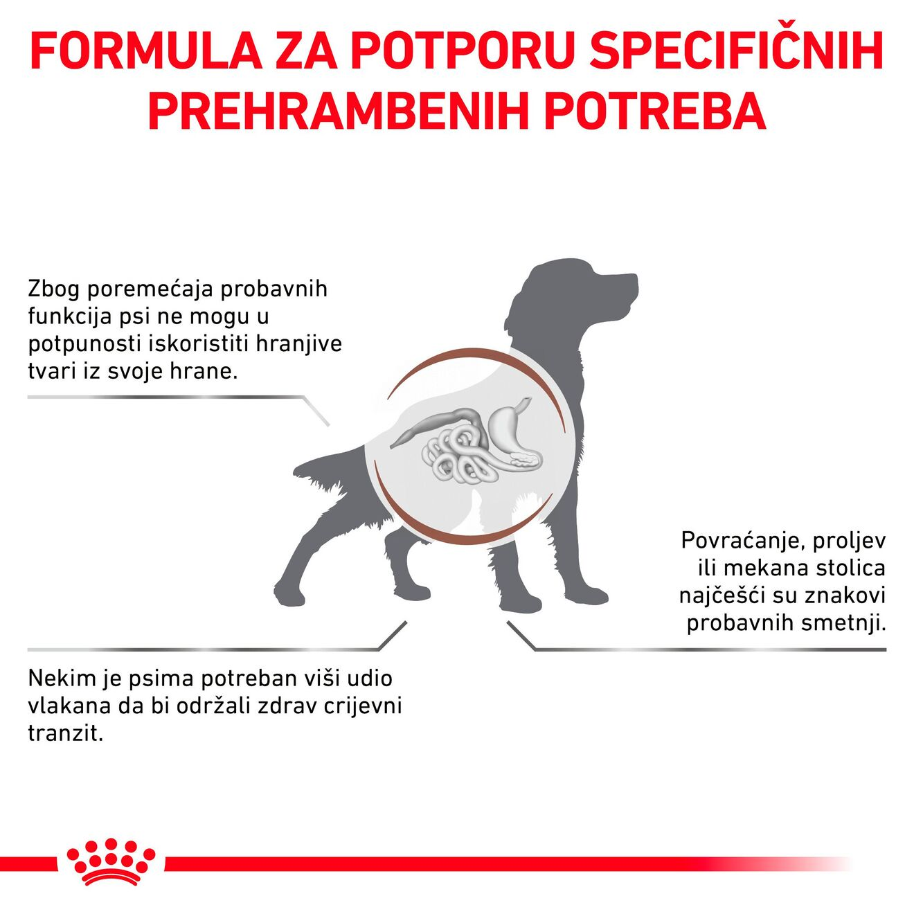 GASTROINTESTINAL HIGH FIBRE