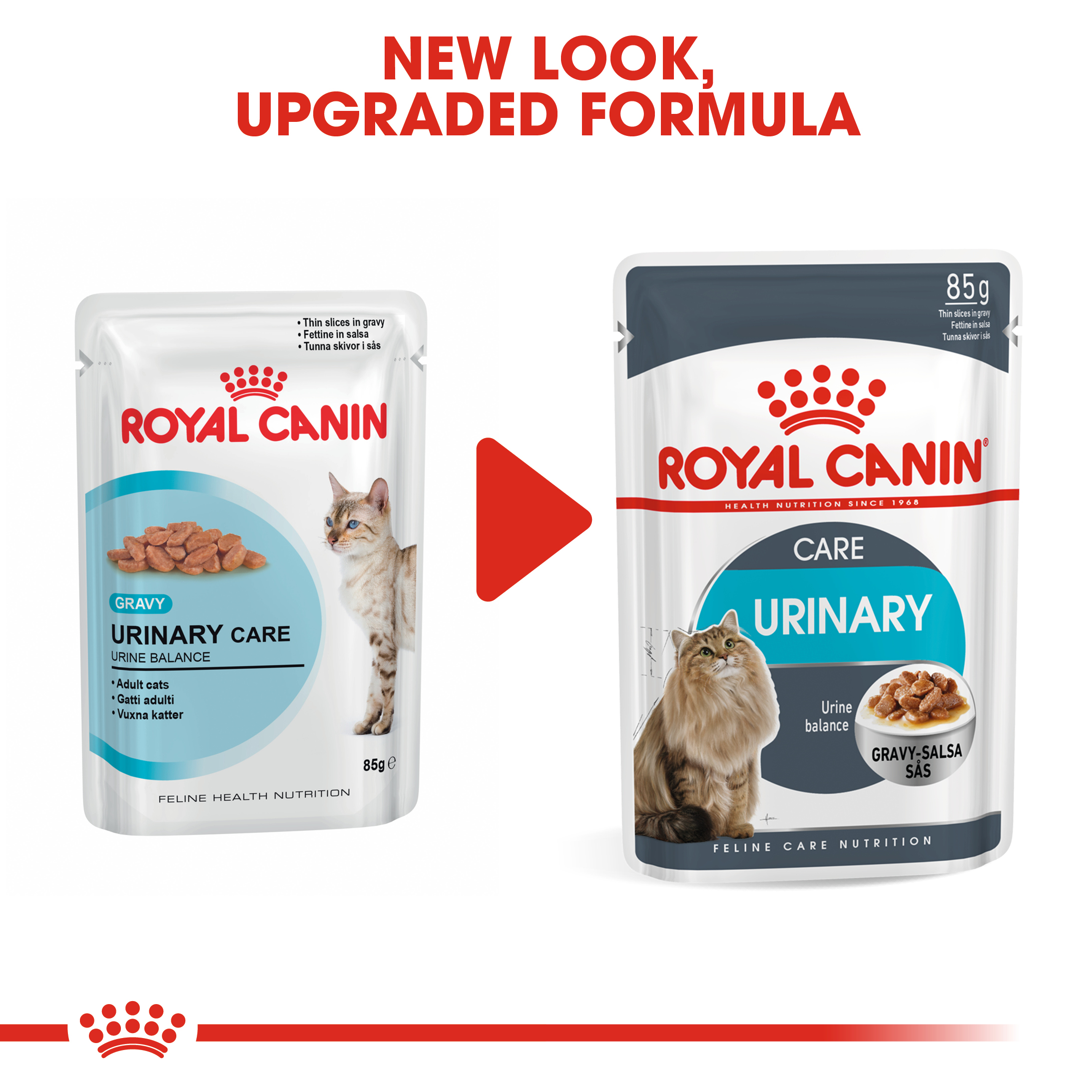 urinary care royal canin cat